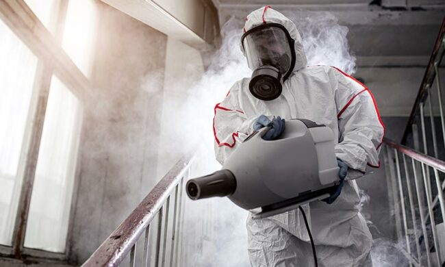 site-web-vente-en-ligne-tout-type-produit-ecommerce-benin-borkina-borkina-faso-burkina-faso-togo-cotonou-bohicon-calavi-portonovo-ouidah-paracou--abonnements-uncategorized